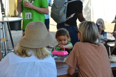 DSC_7642 (Large).JPG